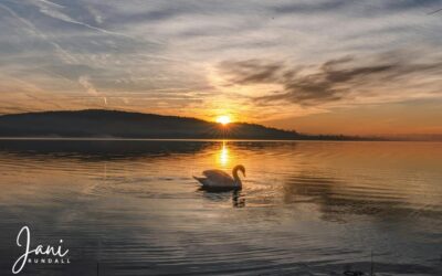 The PAUSE Isn’t the End… It’s the Reset