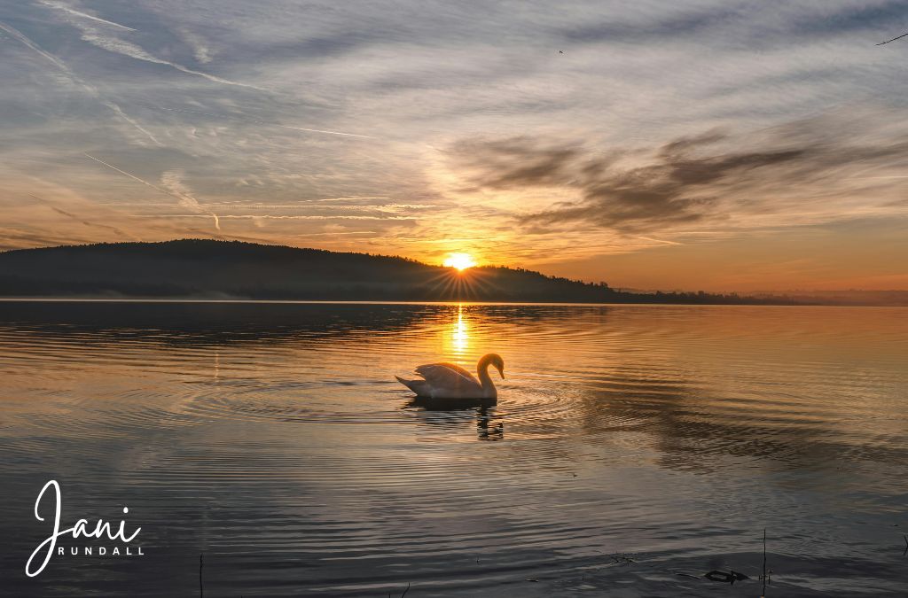 The PAUSE Isn’t the End… It’s the Reset